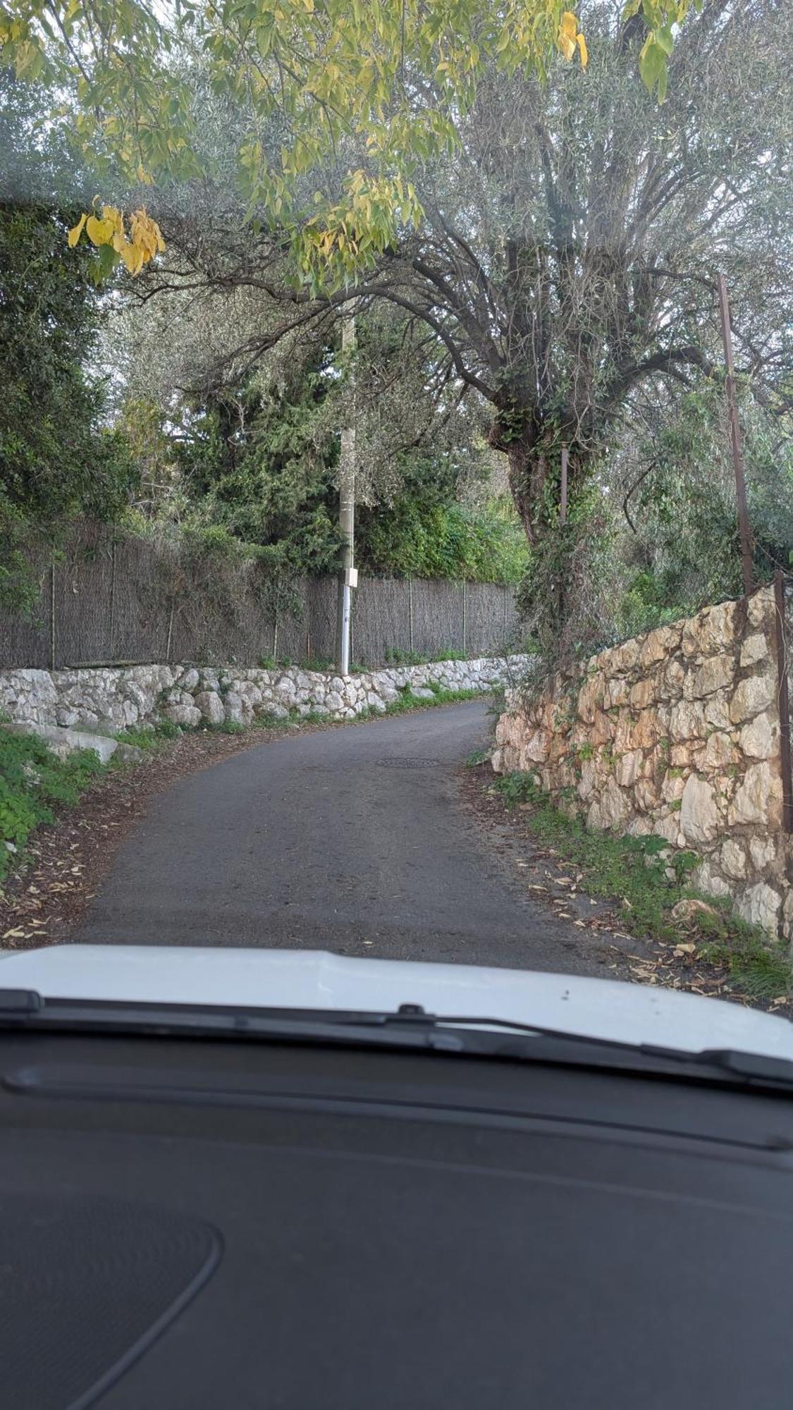 D'angeline - Vue Jardin Commun Parking Voiture Obligatoire 10min Voiture Monaco Route Etroite Pente Raide Croisement Limite Photos - Sea View Shared Garden Parking Car Mandatory 10min Car Monaco Narrow Steep Road Limited Passing P * Beausoleil