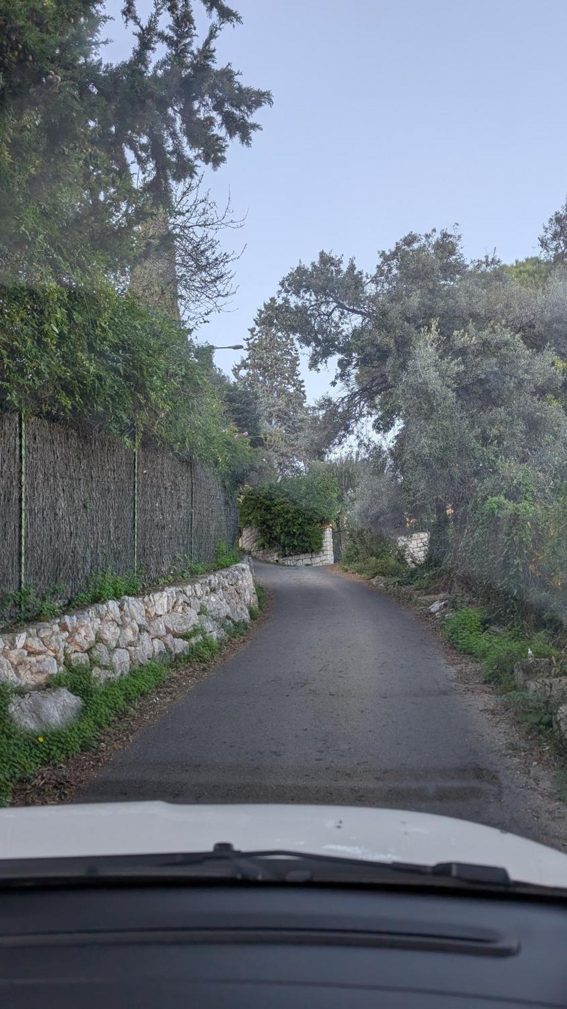 D'angeline - Vue Jardin Commun Parking Voiture Obligatoire 10min Voiture Monaco Route Etroite Pente Raide Croisement Limite Photos - Sea View Shared Garden Parking Car Mandatory 10min Car Monaco Narrow Steep Road Limited Passing P