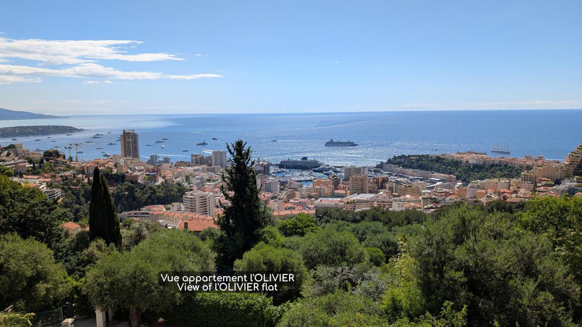 D'angeline - Vue Jardin Commun Parking Voiture Obligatoire 10min Voiture Monaco Route Etroite Pente Raide Croisement Limite Photos - Sea View Shared Garden Parking Car Mandatory 10min Car Monaco Narrow Steep Road Limited Passing P * Beausoleil